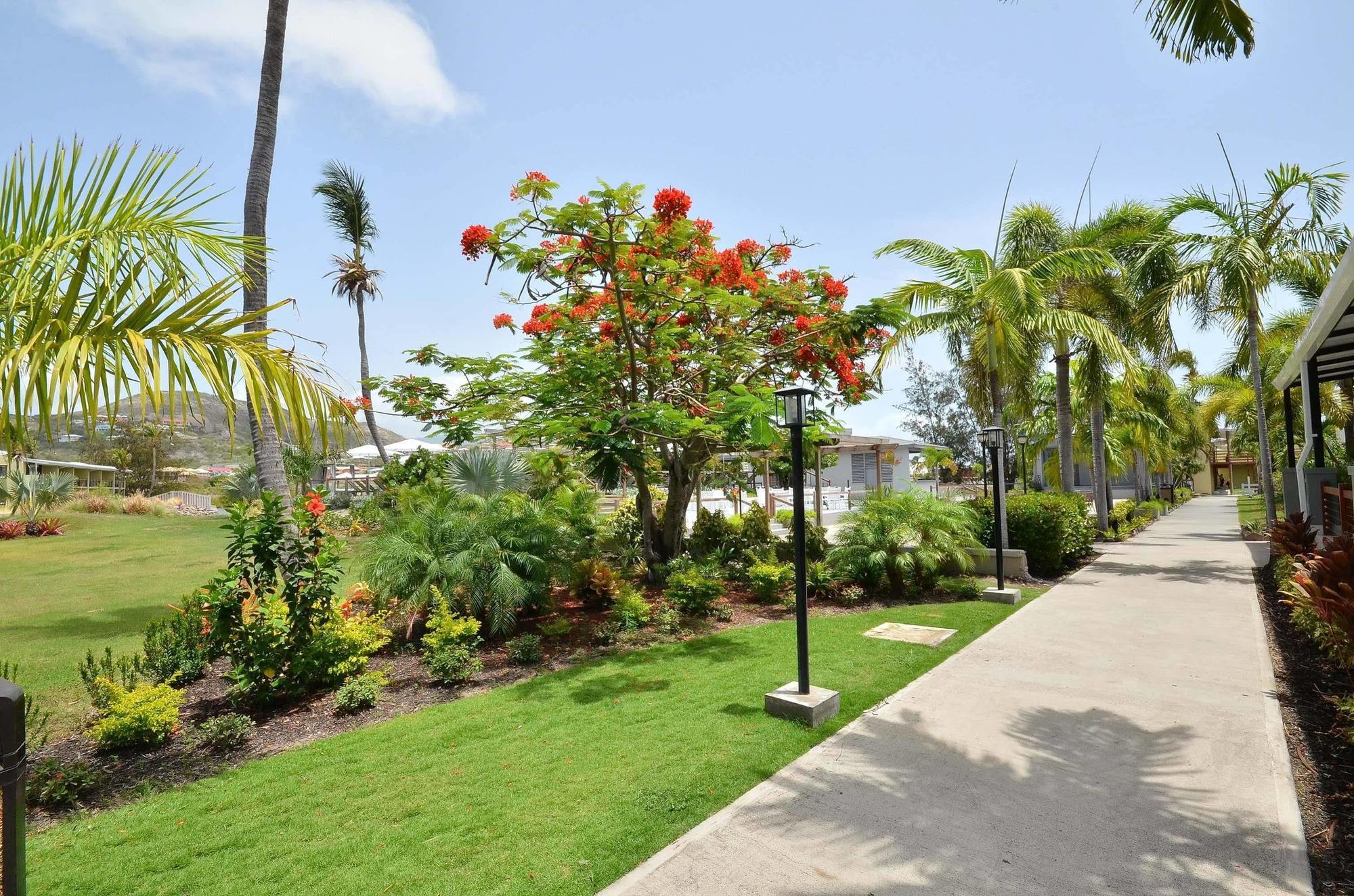 Royal St. Kitts Hotel Frigate Bay Bagian luar foto